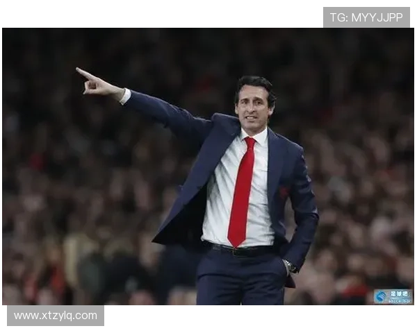 哈姓足球明星的辉煌历程与成就解析